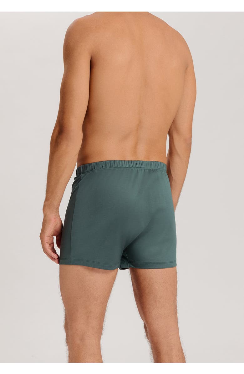 Hanro Cotton Sporty Button Fly Cotton Boxer, Alternate, color, Herbal Tea