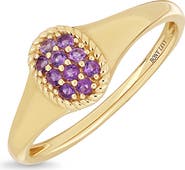 Bony Levy 14K Yellow Gold Pavé Amethyst Ring