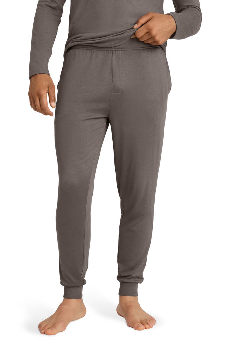 Cozy Pajama Joggers, Main, color, FALCON