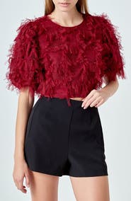 Endless Rose Gridded Tulle Crop Top