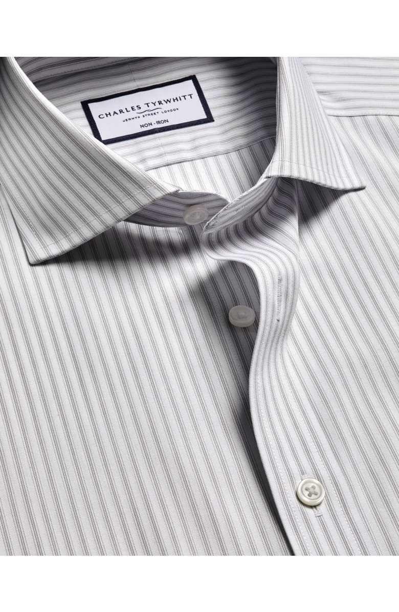 Charles Tyrwhitt Non-Iron Poplin Stripe Shirt, Alternate, color, Gray