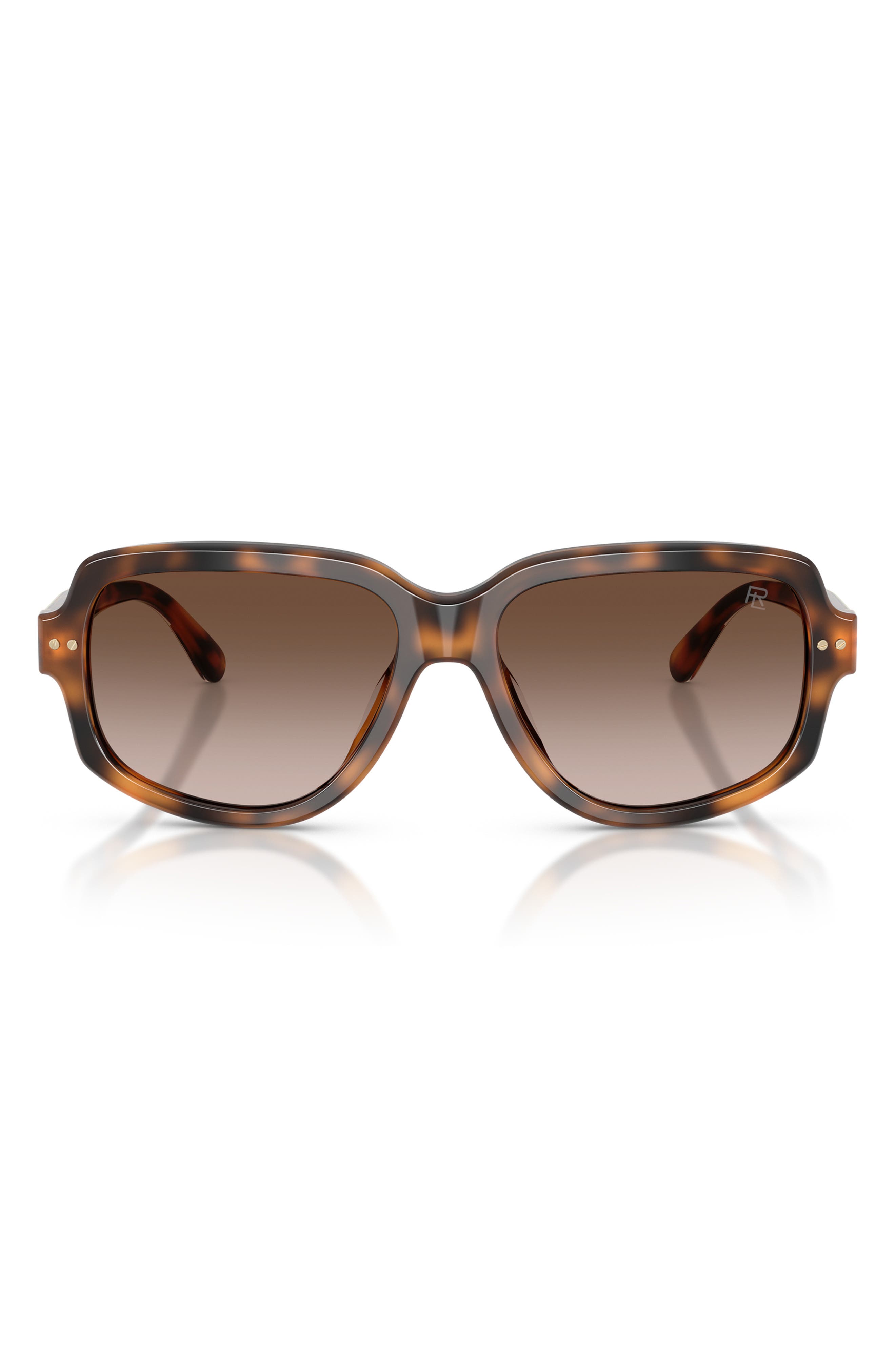 HAVANA / GRADIENT BROWN