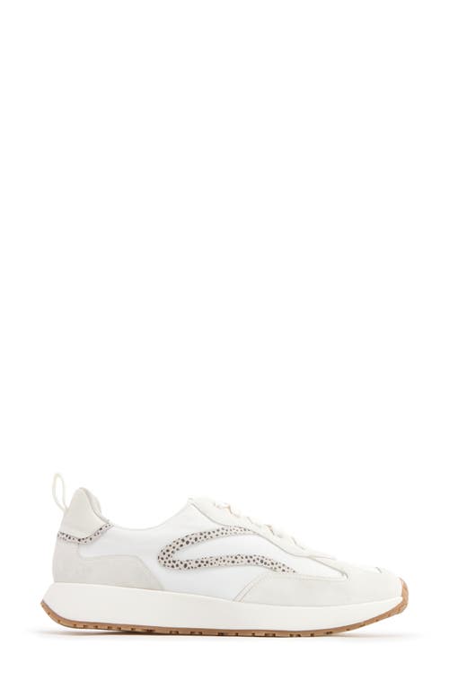 Frankie4 Axel Sneaker In Stone