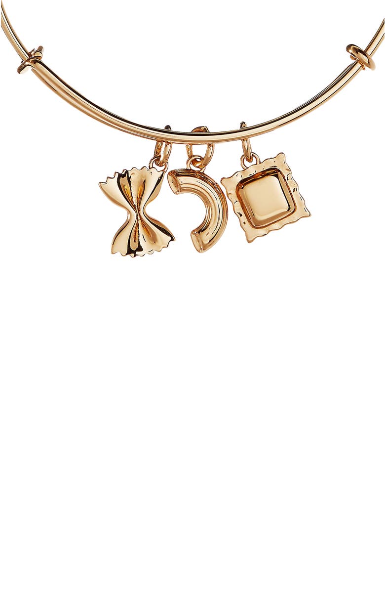 Alex and Ani Bangle Bracelet Multi Charm Pasta, Alternate, color, 