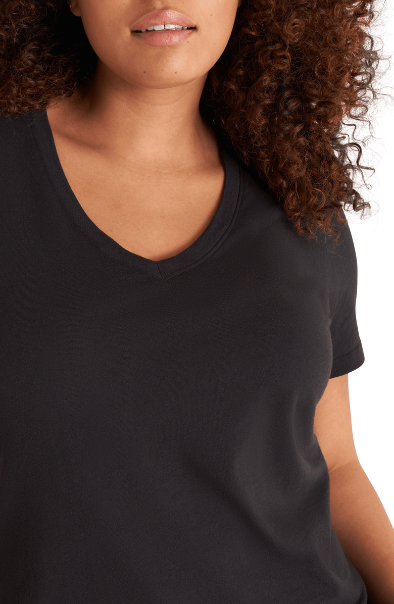The Standard Stitch The V Neck Tee, Alternate, color, Onyx