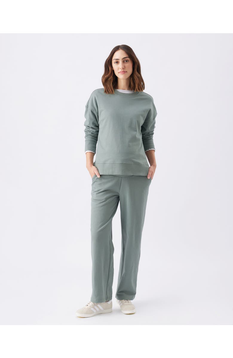 Ripe Maternity Relax Nursing Sweat, Alternate, color, Green