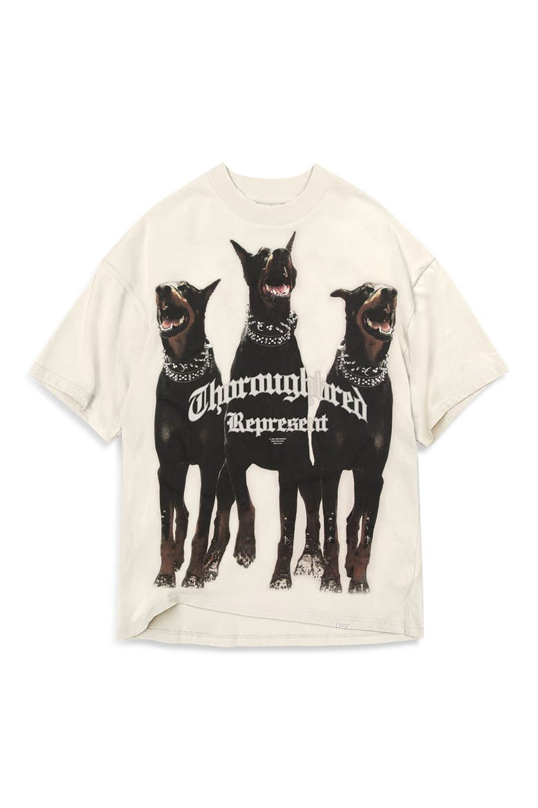 Thoroughbred Oversize Cotton Graphic T-Shirt, Alternate, color, VINTAGE WHITE