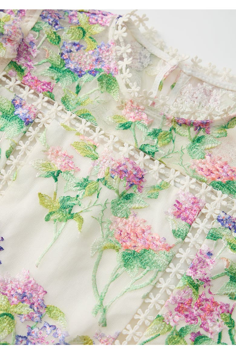 Clementine Embroidered Mini Dress, Alternate, color, Floral
