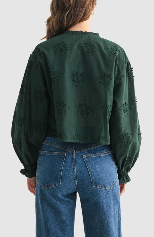 All In Favor All In Green