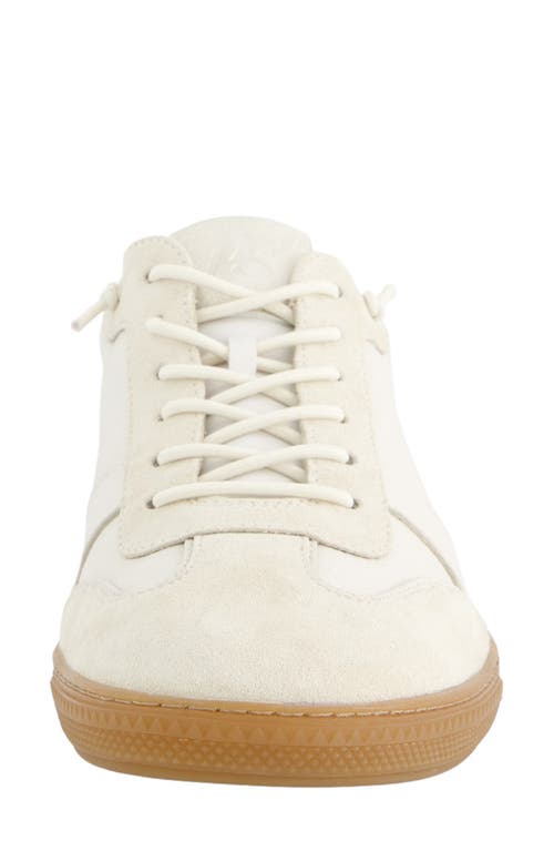 Paul Green Alison Sneaker In Ivory Soft Suede Leather