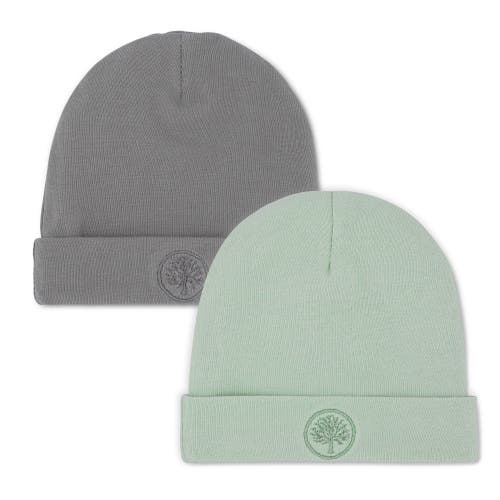 Parker Baby Co. Baby Beanies In Sage/pewter