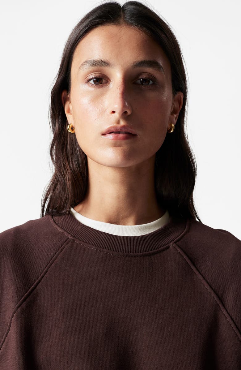 & Other Stories Oversize Cotton Sweatshirt, Alternate, color,