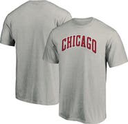 FANATICS Men's Fanatics Branded Heathered Gray Chicago Bulls Alternate Logo T-Shirt