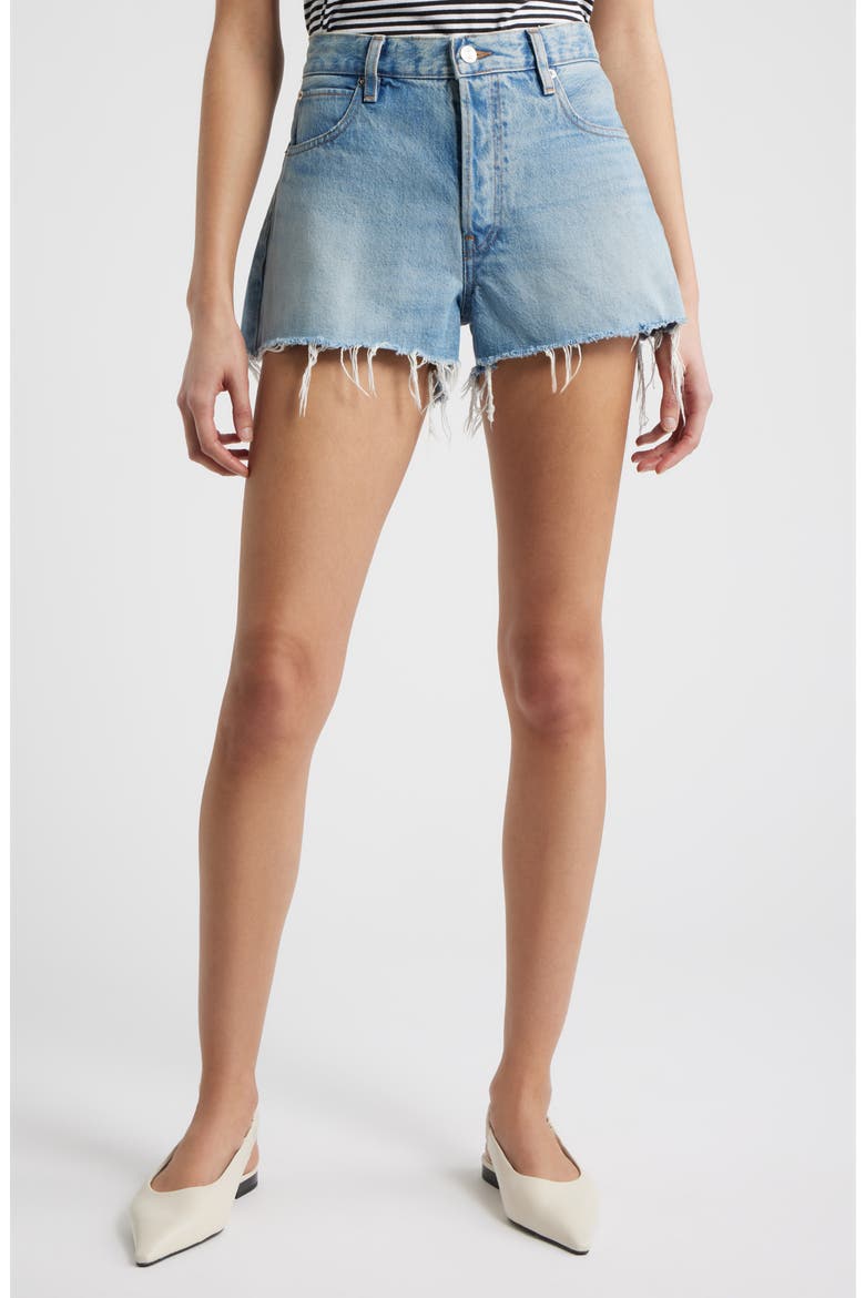The Hang Frayed Hem Denim Shorts, Main, color, BEETLE