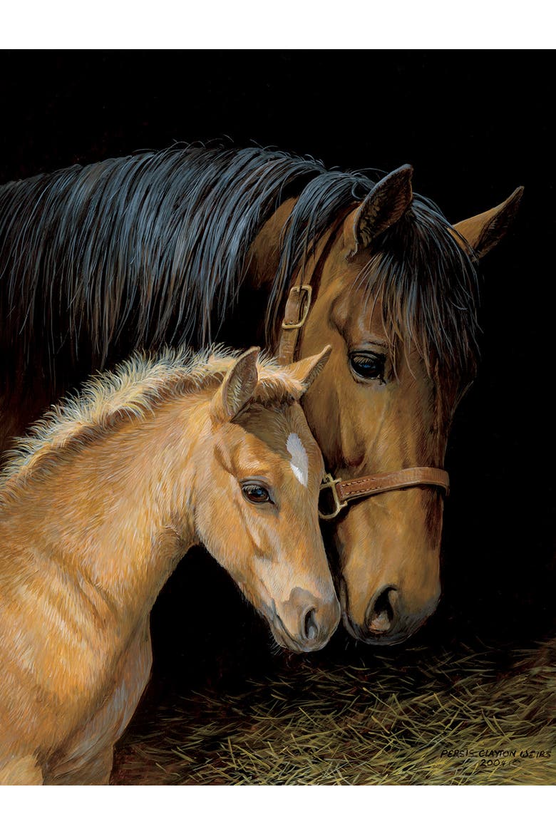 Bonding 500 piece Jigsaw Puzzle for Adults, Alternate, color, Multicolor