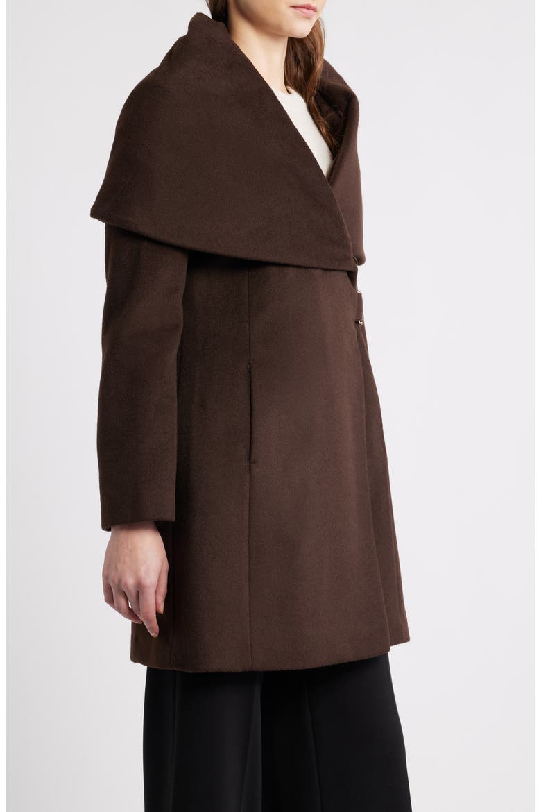 Hooded Wool Blend Belted Coat, Alternate, color, CHOCOLATE