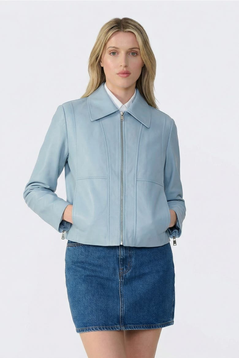 Daisy Leather Jacket, Alternate, color, Blue