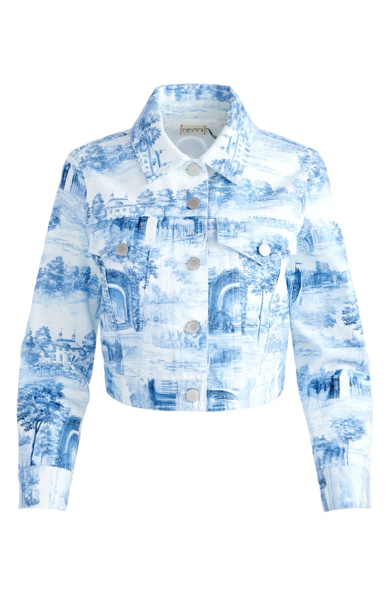 Alice + Olivia Chloe Boxy Crop Jacket, Alternate, color, 