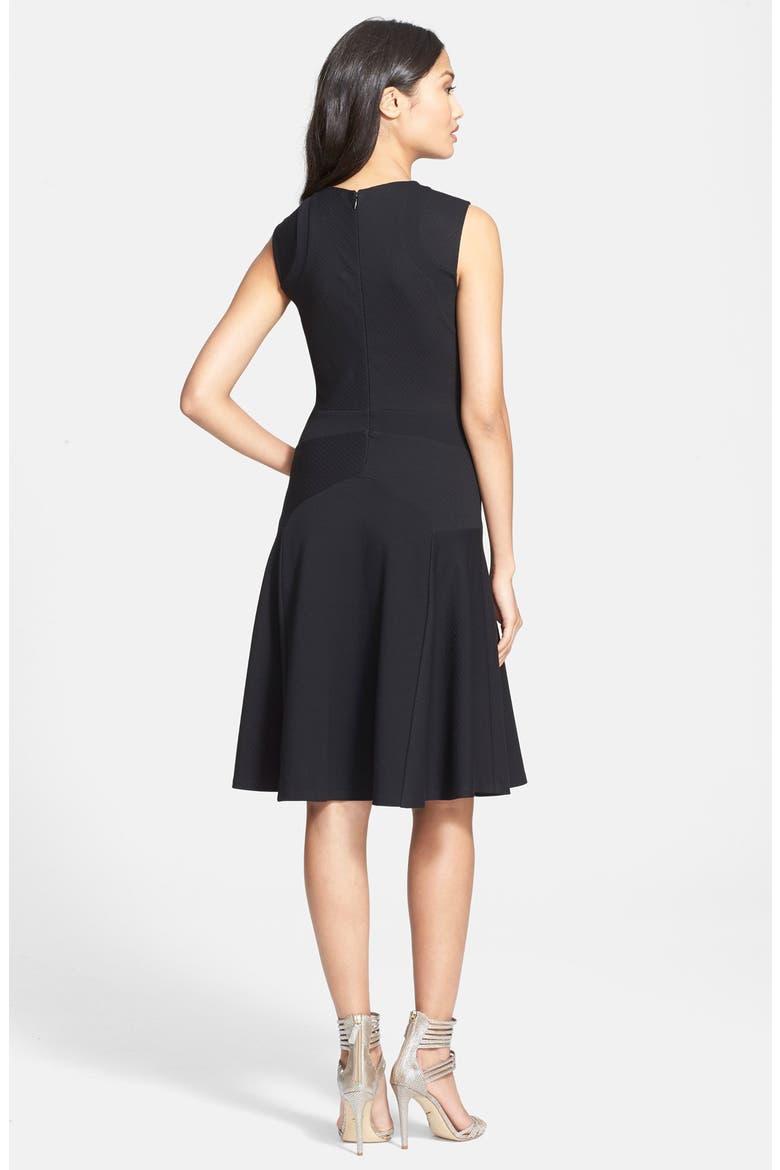 Sleeveless A-Line Dress, Alternate, color, BLACK