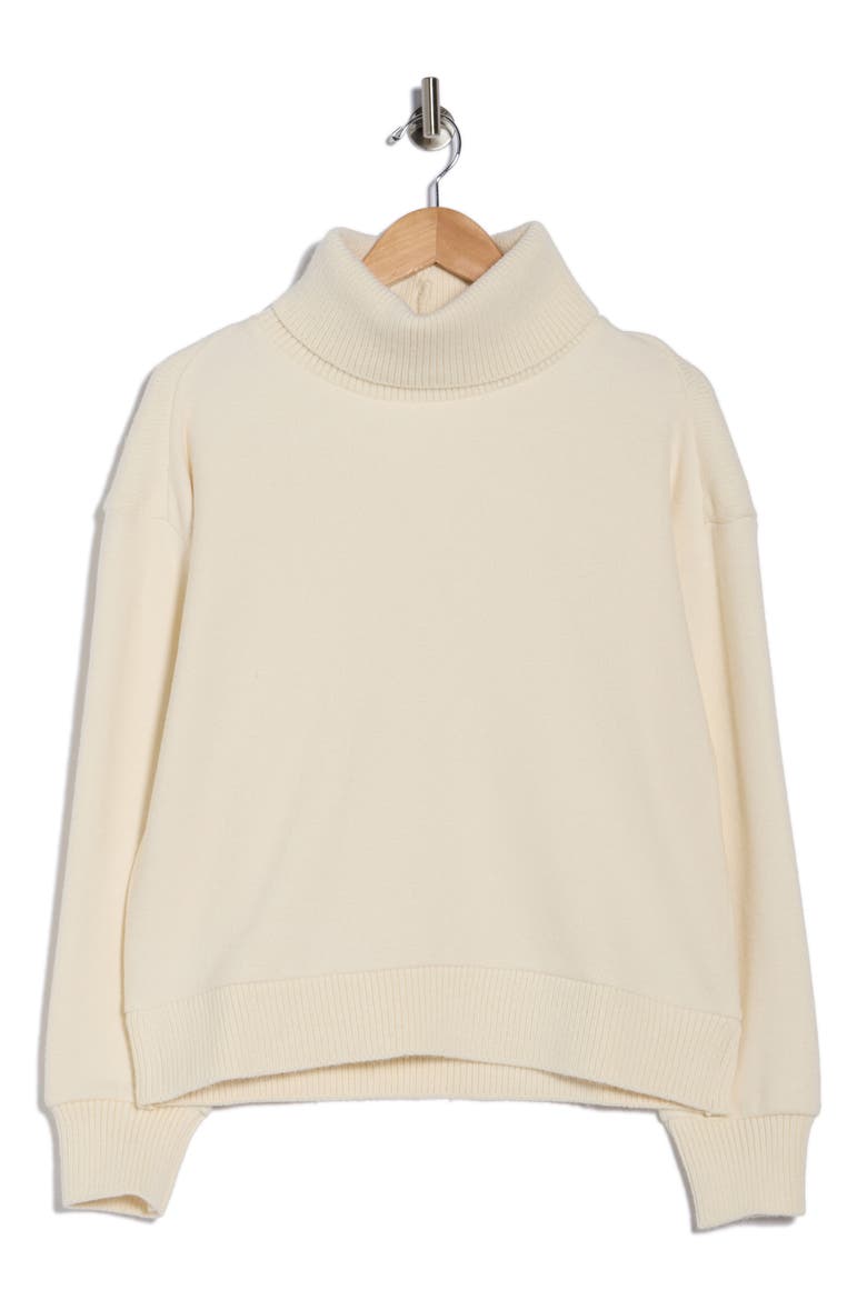 Turtleneck Sweater, Alternate, color, IVORY