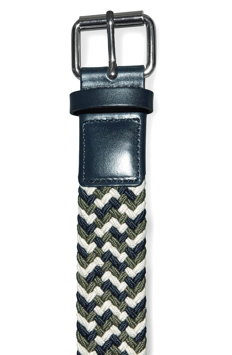 COS Rover Woven Belt, Alternate, color, 
