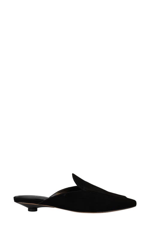 Pelle Moda Amias Mule In Black
