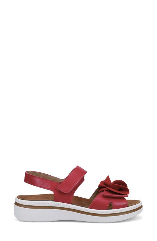 Ron White Frances Slingback Platform Wedge Sandal In Lipstick
