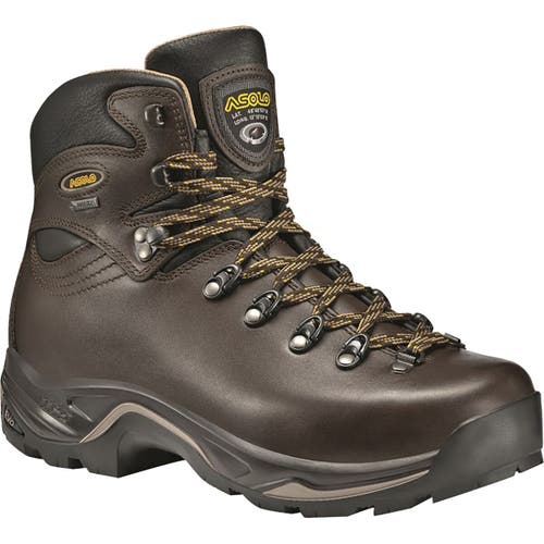 Asolo Tps 520 Gv Evo Backpacking Boot In Brown