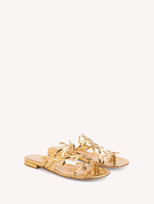 Shop Gianvito Rossi Flavia 05 Sandals In Gold