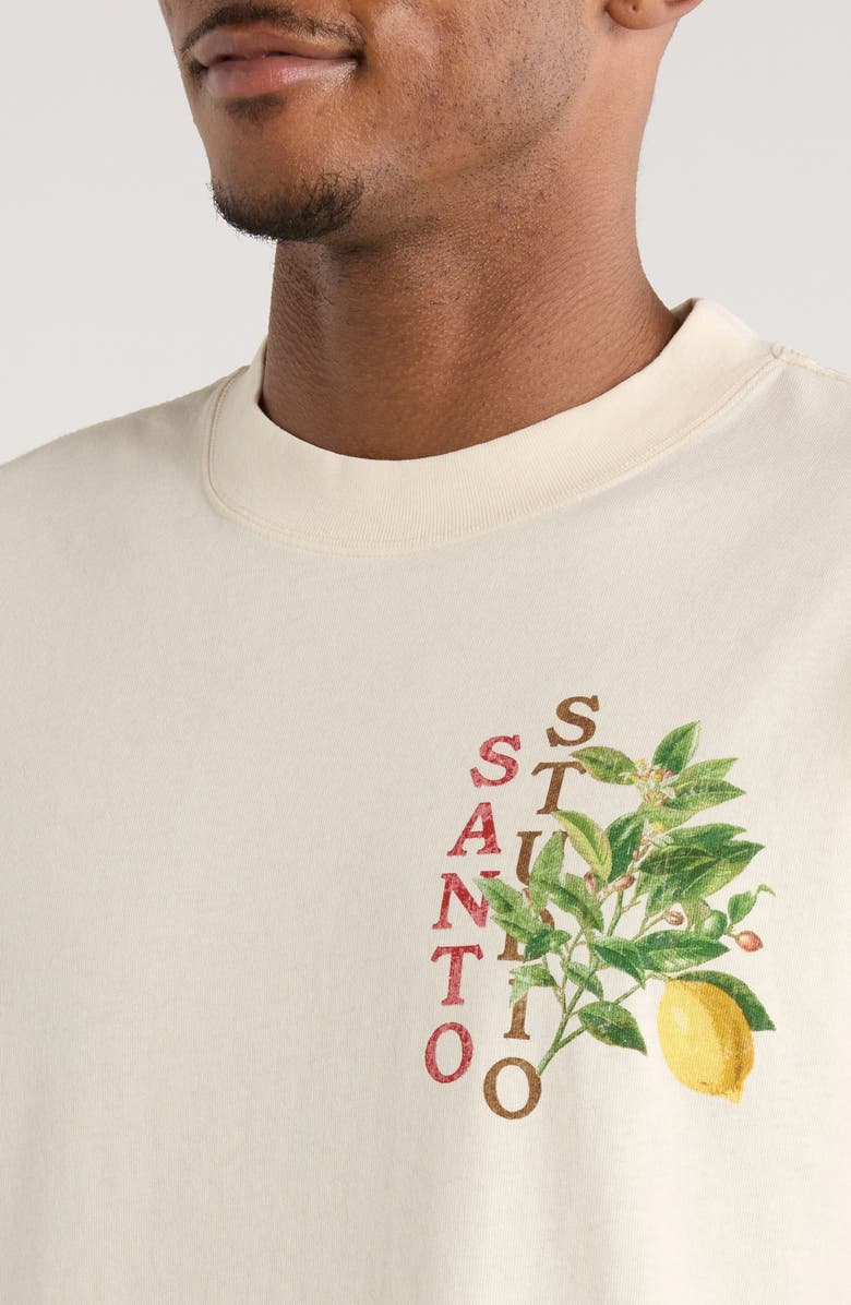 SANTO STUDIO Lemon Drappo Cotton Graphic T-Shirt, Alternate, color, 