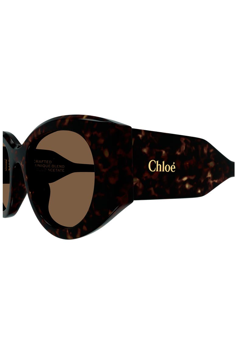 51mm Round Sunglasses, Alternate, color, HAVANA
