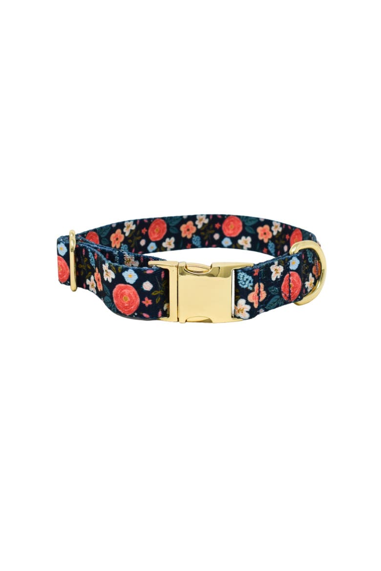 Riley Dog Collar, Main, color, Riley