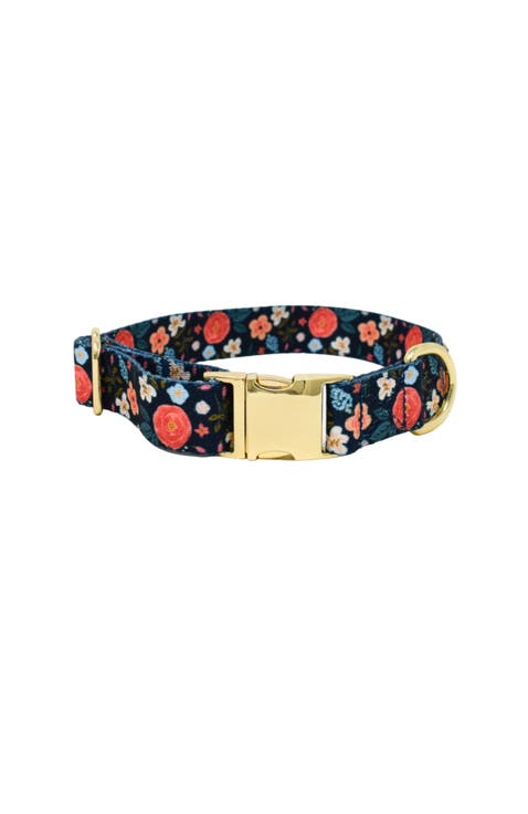 Riley Dog Collar