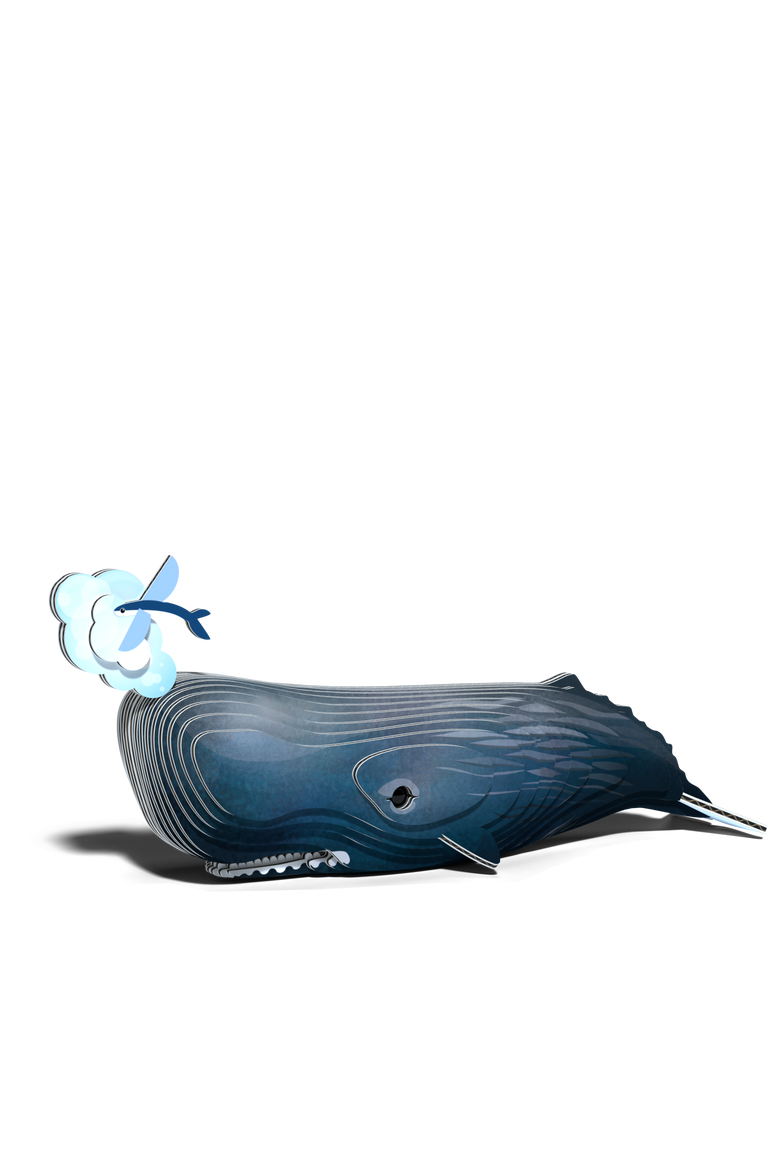 Sperm Whale 3D Puzzle, Alternate, color, No Color