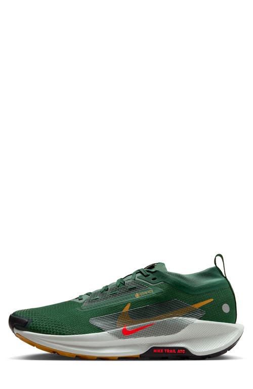 Nike Men's Pegasus Trail 5 Gore-tex Waterproof Trail Running Shoes In Multi