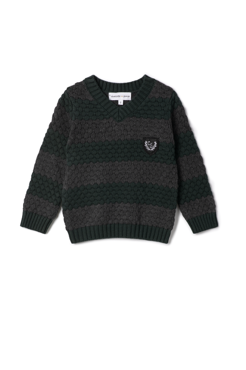 Striped V-Neck Sweater with Crest Patch