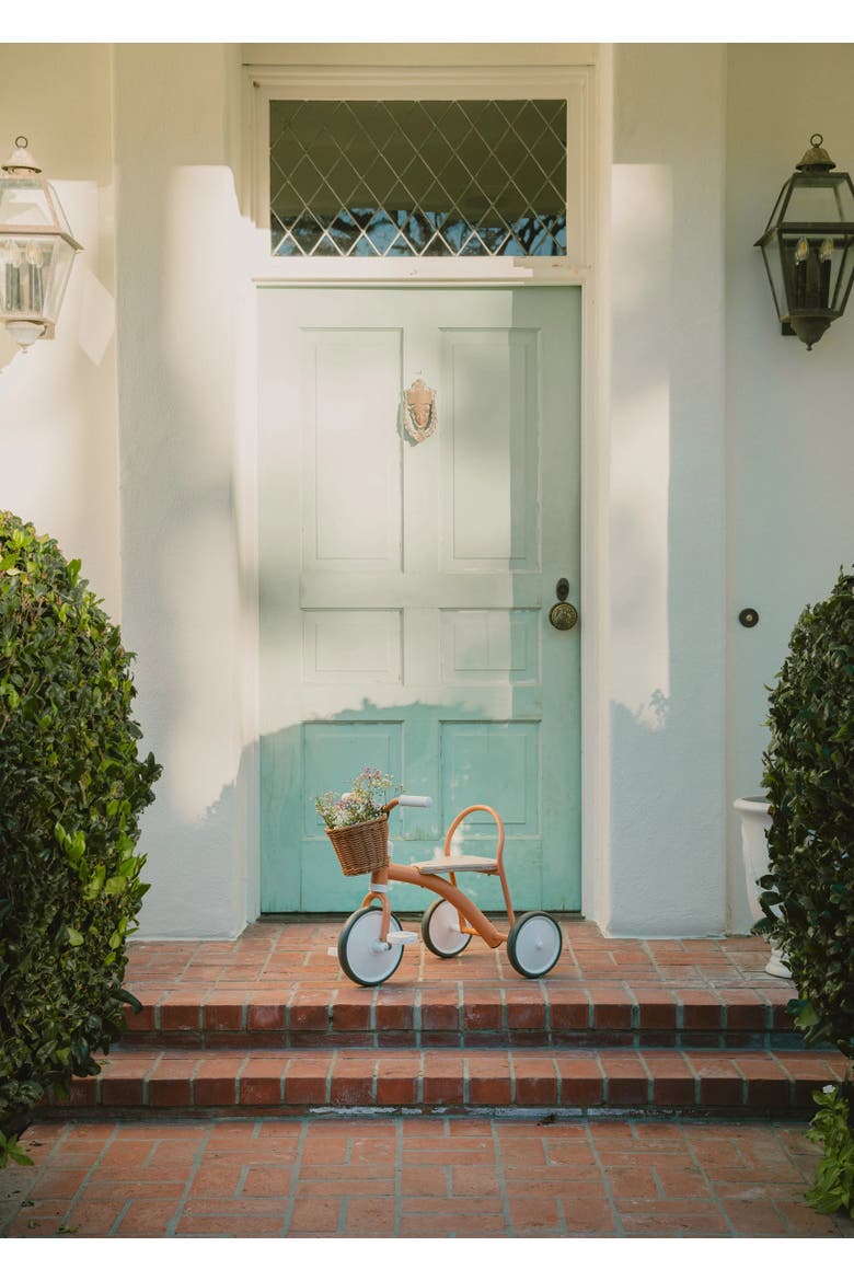 Heritage Tricycle, Alternate, color, Grapefruit