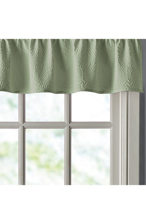 DKNY DKNY CHRYSANTHEMUM FLORAL VALANCE