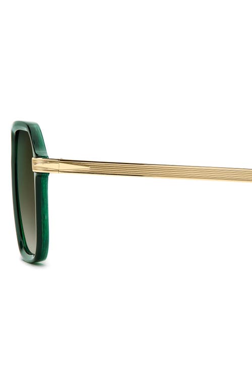 David Beckham Eyewear 56mm Navigator Sunglasses In Green Marble Gold