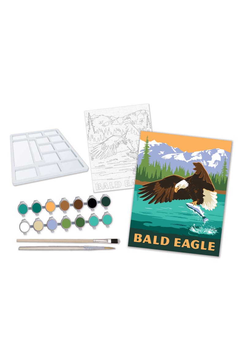 Eagle - Paint by Number, Alternate, color, Multicolor