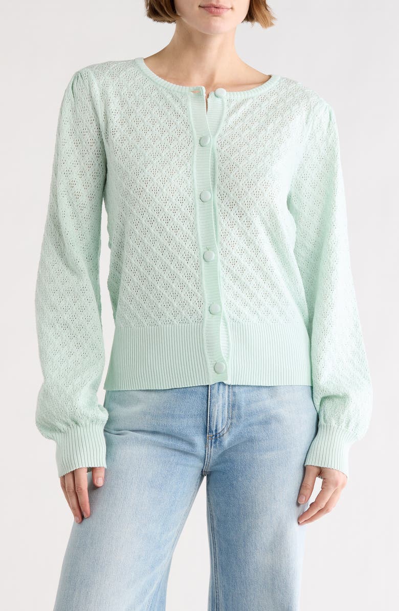 BY DESIGN Eileen Pointelle Knit Cardigan, Main, color, Aqua Glass