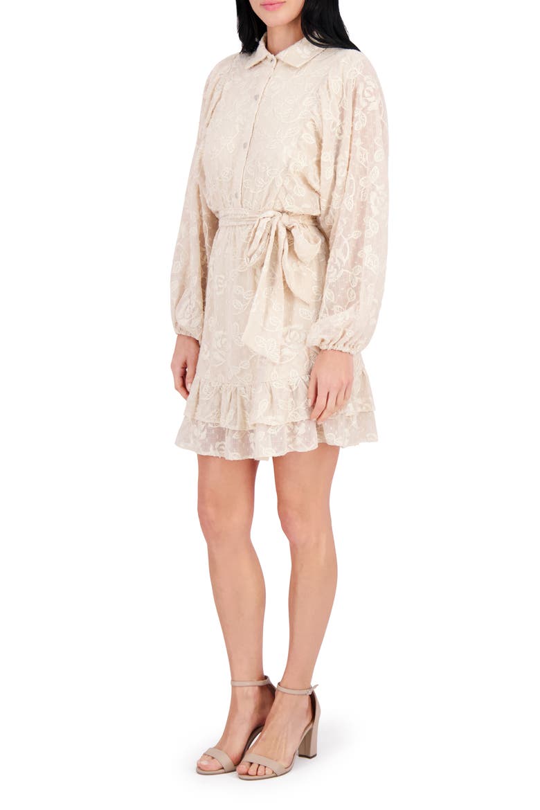 Embroidered Woven Minidress, Alternate, color, SAND