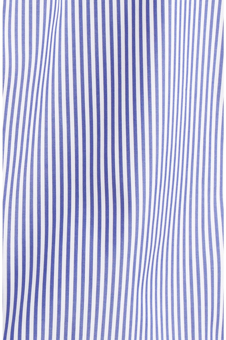 Cameron Stripe Cotton Button-Down Shirt, Alternate, color, BLUE/ WHITE