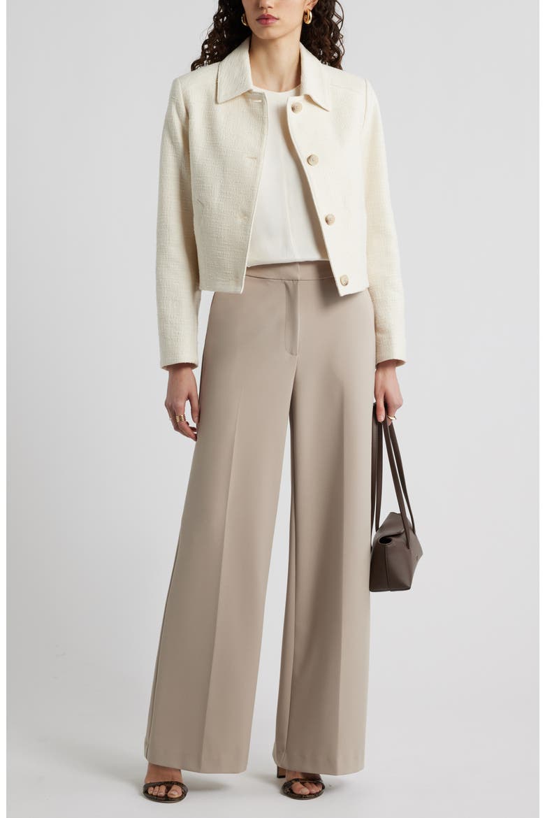 Textured Button Front Jacket, Alternate, color, IVORY BIRCH