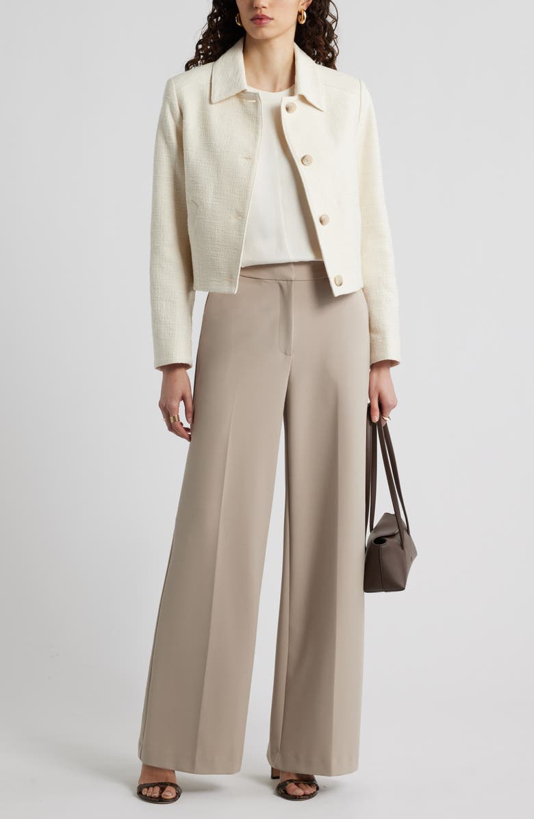 Nordstrom Textured Button Front Jacket, Alternate, color, Ivory Birch