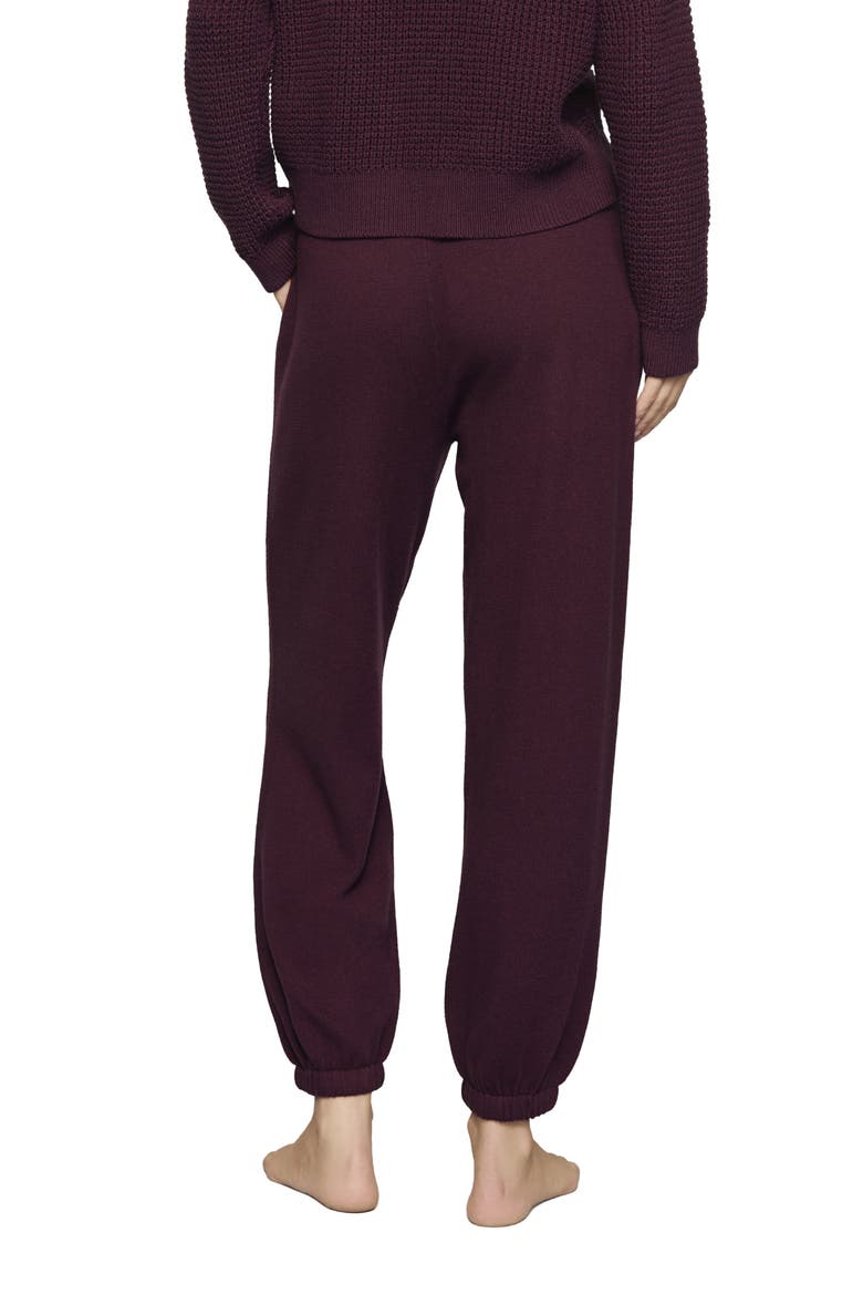 Tie Waist Sweater Pants, Alternate, color, WILDBERRY