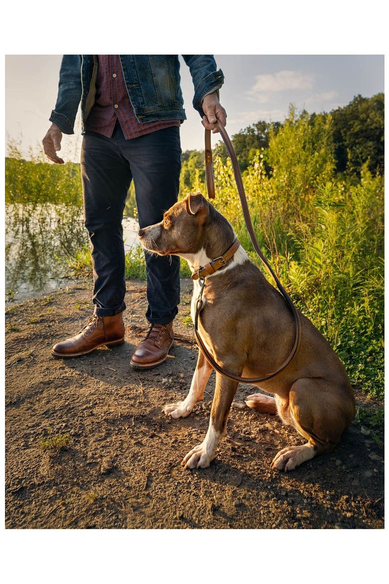 Hadley Leather Dog Leash, Alternate, color, Espresso