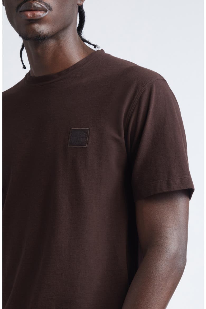 Ghost Compass Patch T-Shirt, Alternate, color, V0070 DARK BROWN