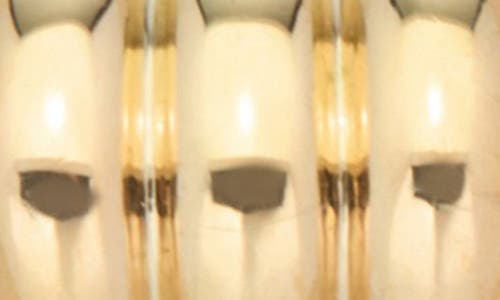 St. Moran Fluted Wide Hoop Earrings In Gold