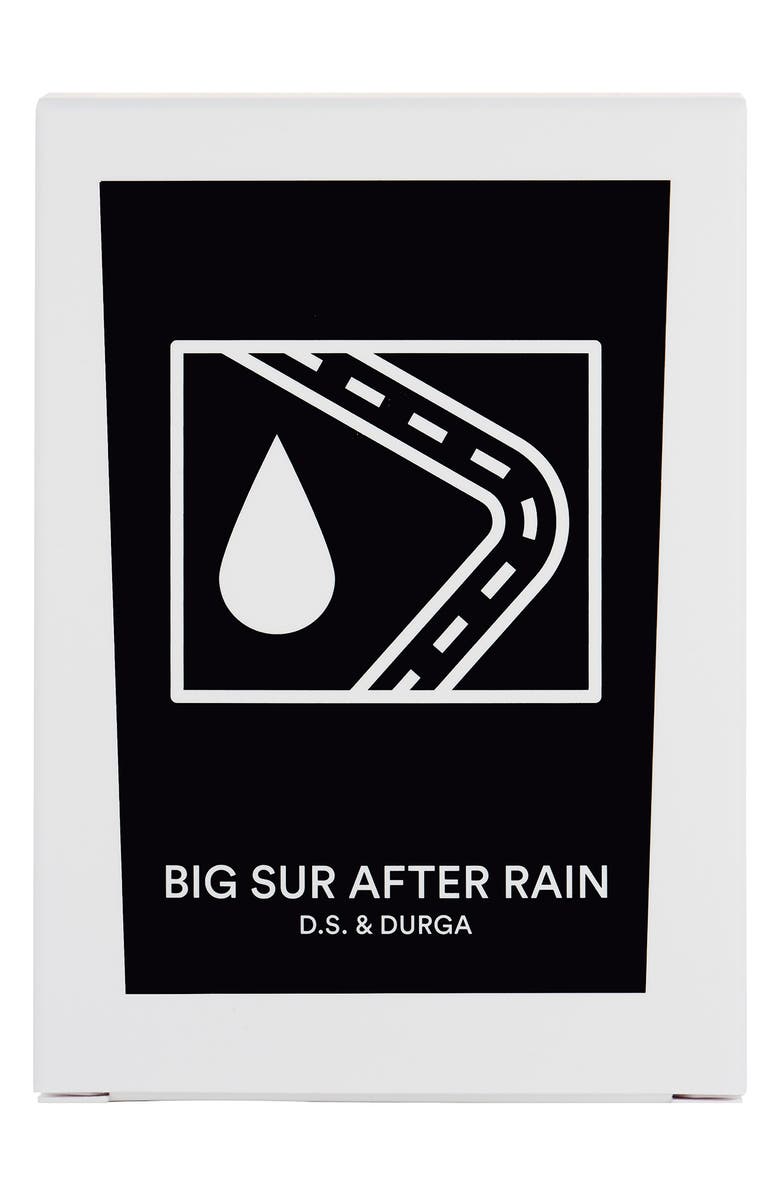 D.S. & Durga Big Sur After Rain Scented Candle, Alternate, color, White